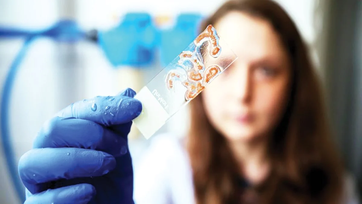 Yaşlanmayan deniz canlıları insanlar için umut olabilir