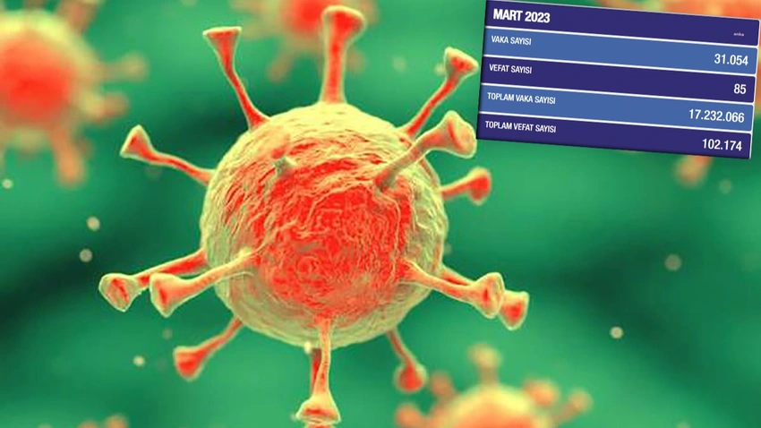 Kovid-19 salgınında son veriler