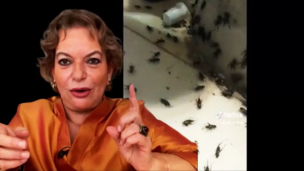 Mine Kırıkkanat,Kâbe’yi ziyaret eden Müslümanlara hakaret etti