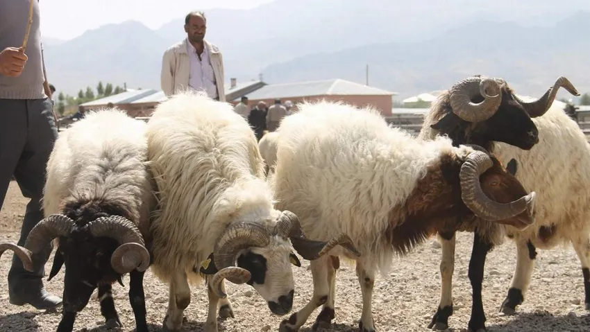 Kredi ile kurban kesilir mi?