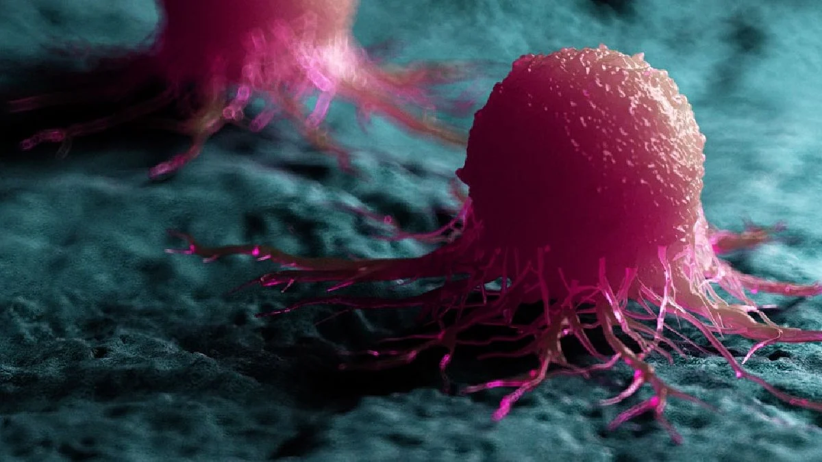 Kanser tanısında artış sürüyor!