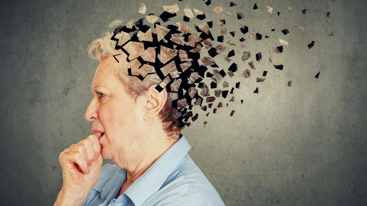 Diş eksildikçe hafıza küçülüyor