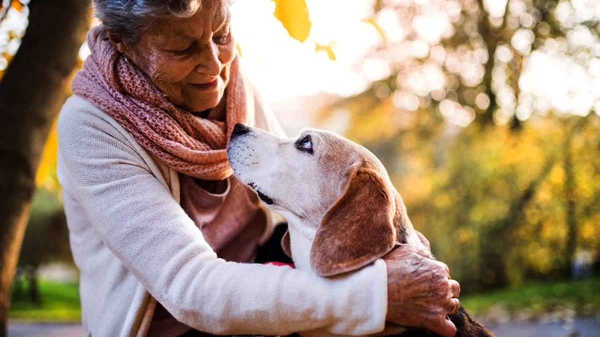 Hayvanlarla yaşamak bu hastalığa çare