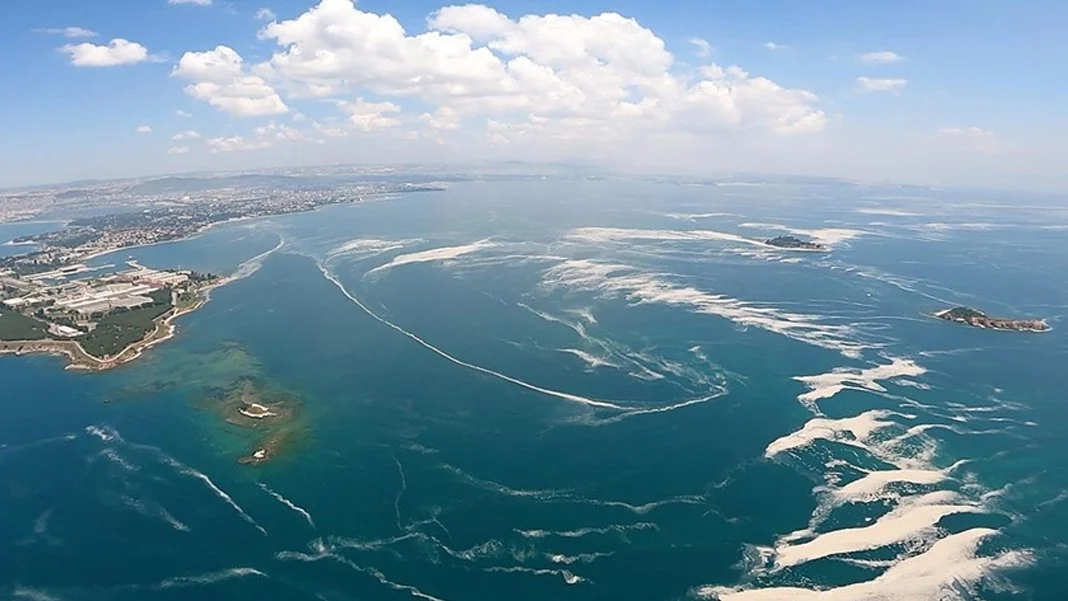 Marmara Denizi için yeniden alarm verildi