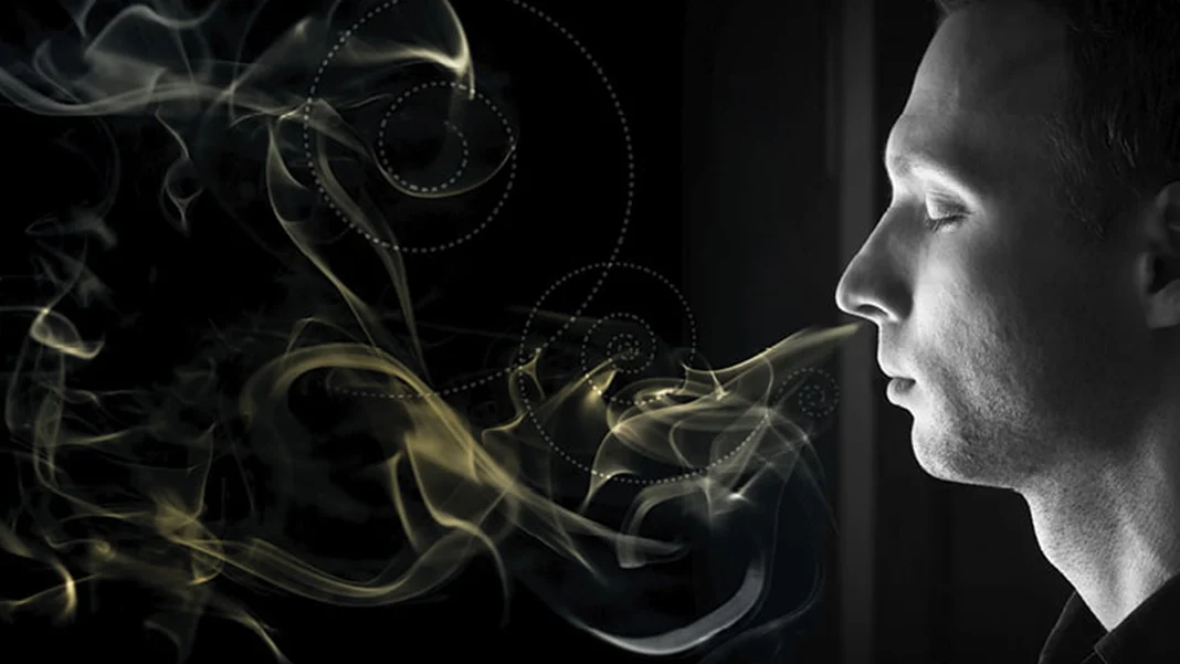 Koku kaybı demans ve alzheimera işaret ediyor