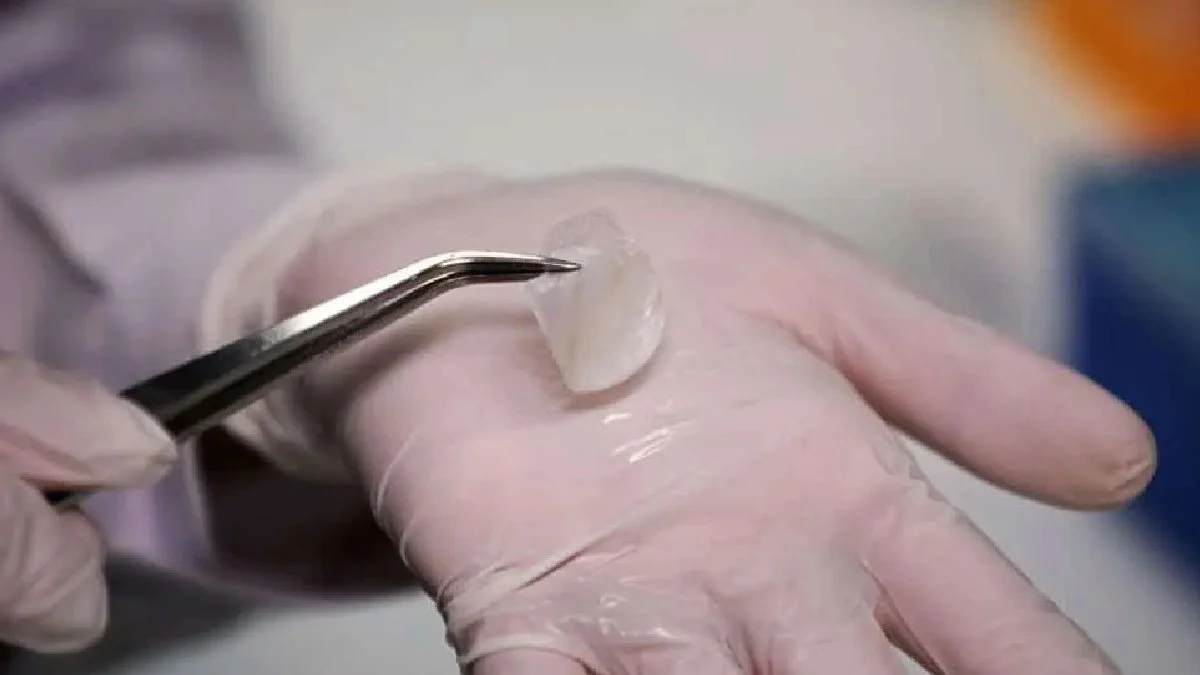 Kök hücrelerden deri üretildi