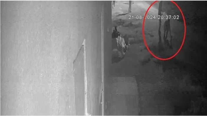 Narin cinayetinde büyük delil!