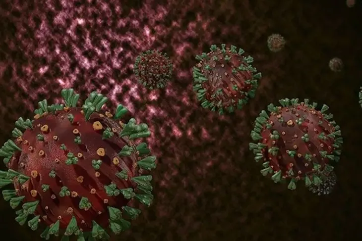 Bilim insanları henipavirüsü keşfetti