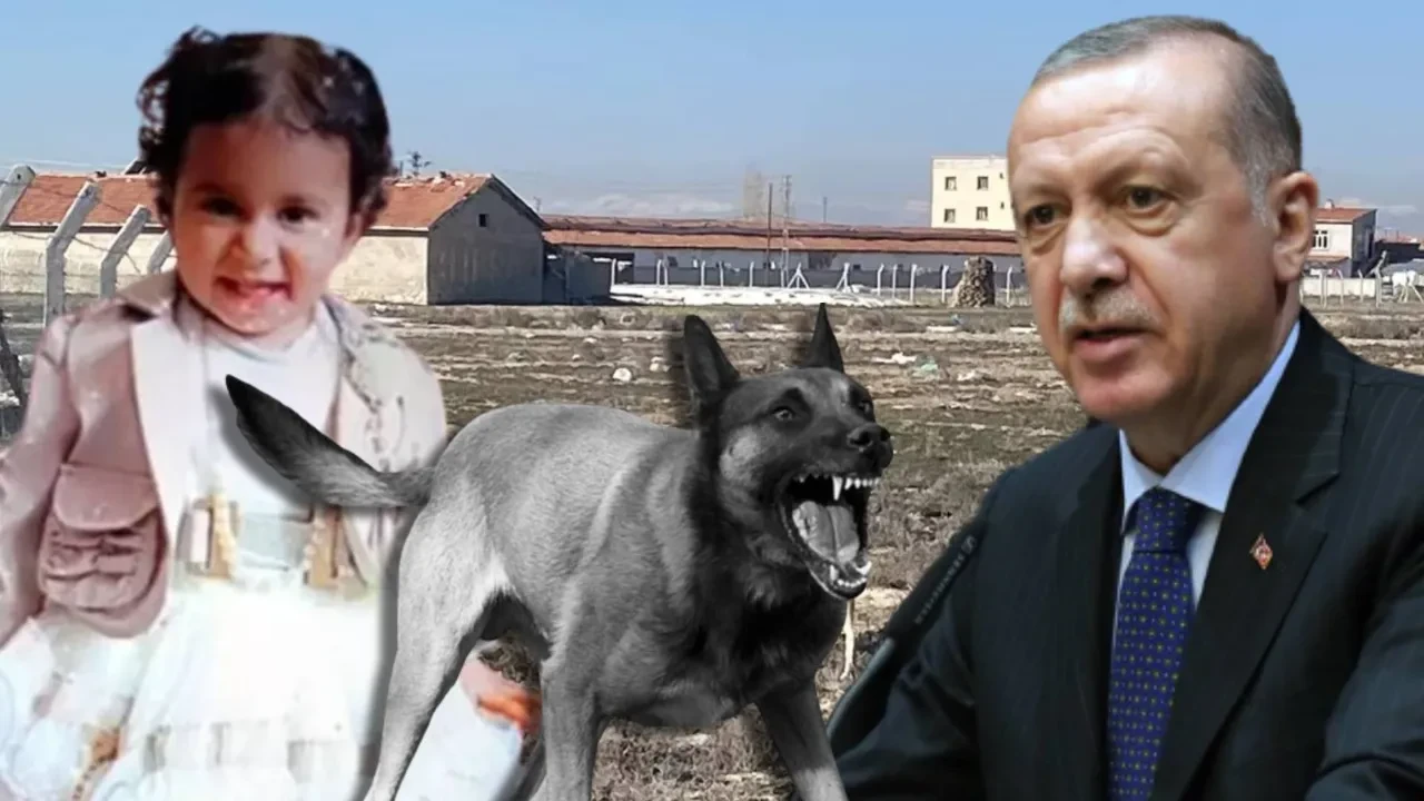 Cumhurbaşkanı Erdoğan’dan Rana bebek açıklaması