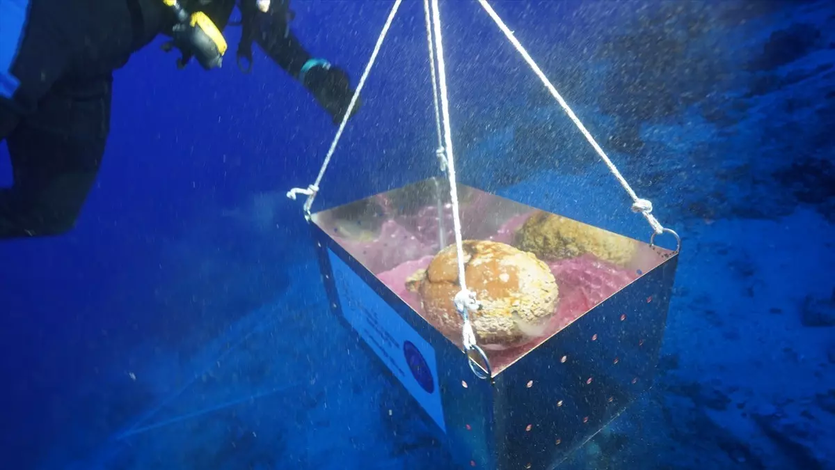 Türkiye sınırında heyecanlandıran keşif!