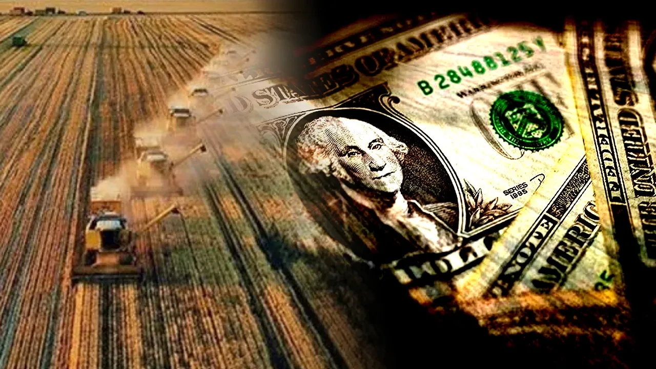 Tarımsal hasılada rekor!