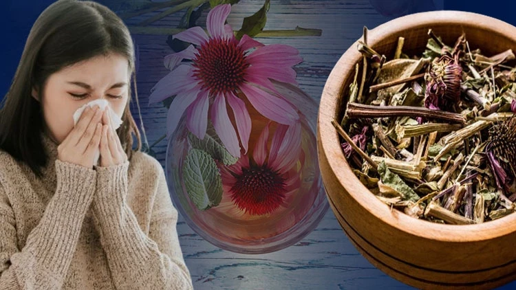 İşte virüslerden kurtulmanın 10 yolu!