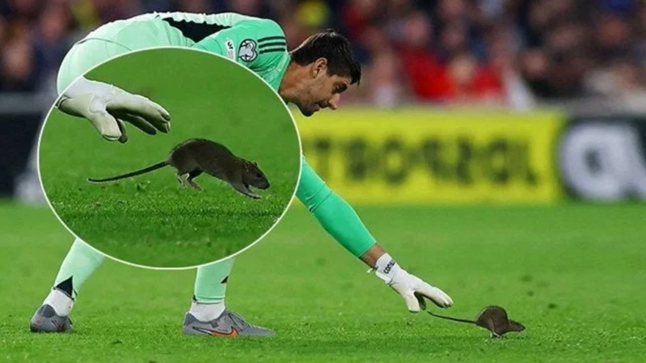 Dev maçta sahaya fare girdi!