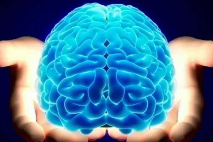 Beynimiz hangi yaşta zirveye ulaşıyor?