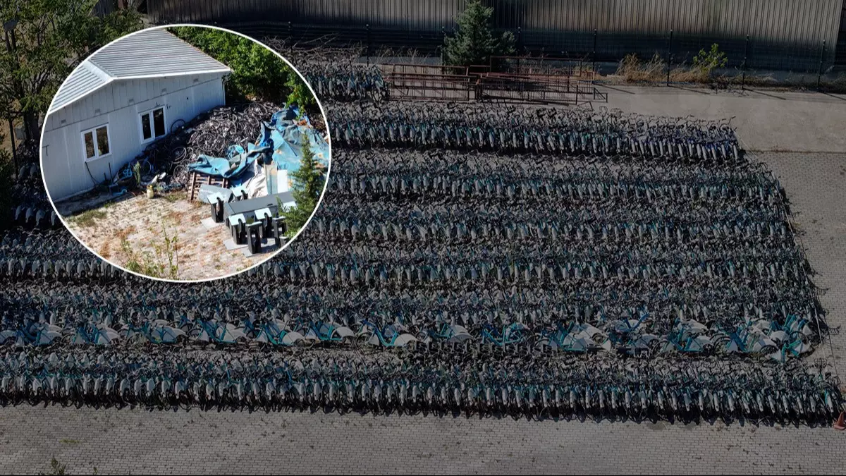 Çalışan sistemi çökertip milyonları iç ettiler!