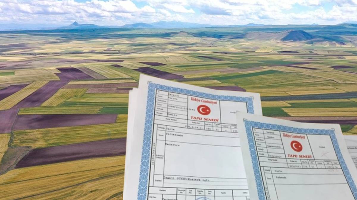 Yargıtay’dan ortak tapular için kritik karar